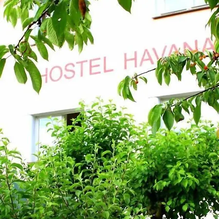 호스텔 Havana *